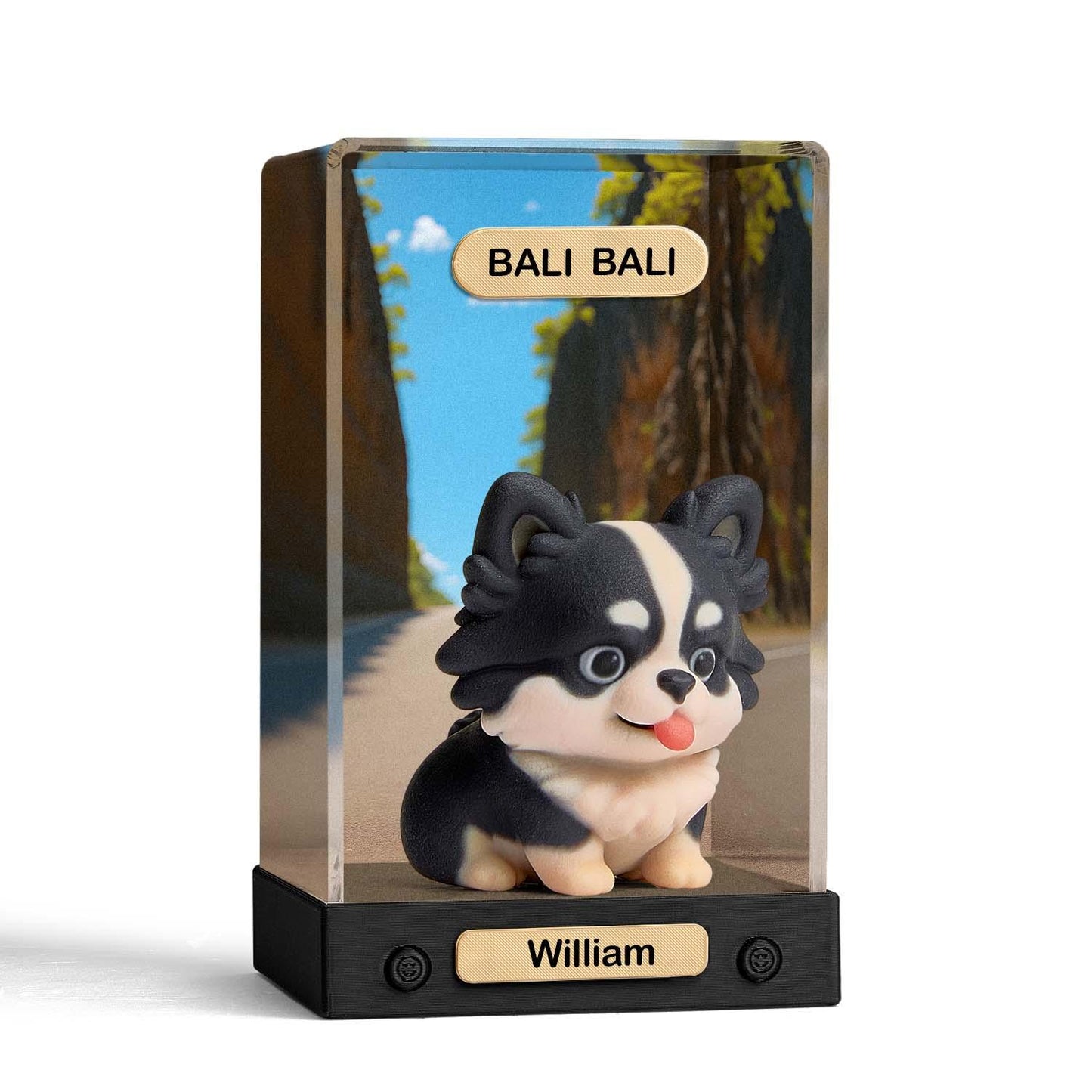 Custom 3D Action Figure Acrylic Box Decoration From Your Photo Personalized Background Toy Figure Custom Action Figure Gifts For Him/Her