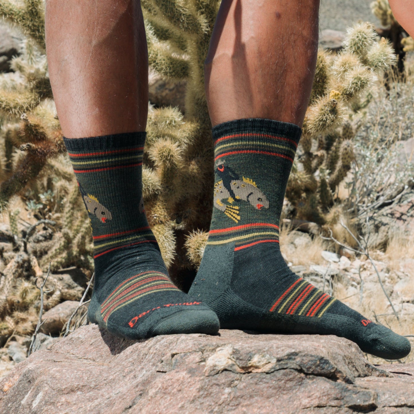 Men's Limited Edition Willoughby Micro Crew Lightweight Hiking Sock