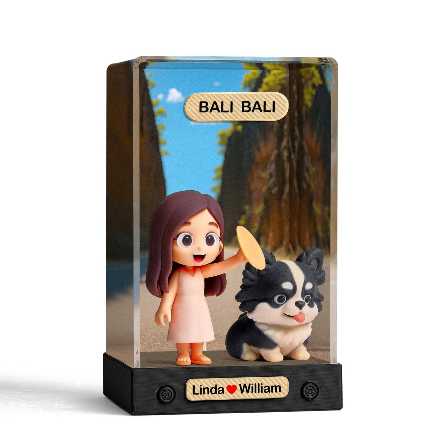 Custom 3D Action Figure Acrylic Box Decoration From Your Photo Personalized Background Toy Figure Custom Action Figure Gifts For Him/Her